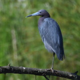 D50_4646.jpg