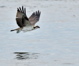 D50_5708.jpg