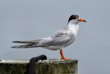 D50_5746.jpg