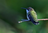 D50_6035.jpg
