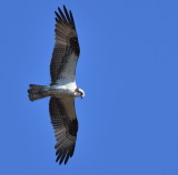 D50_6397.jpg