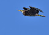 D50_6852.jpg