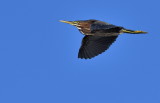 D50_6854.jpg