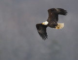 D50_9633.jpg