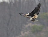 D50_9665.jpg
