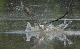 D51_2608.jpg