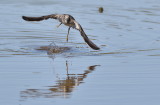 D51_4737.jpg