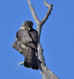 D51_5065.jpg