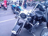 171125 Nelson Toy Run 23.jpg