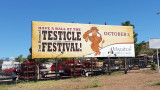 Testicle Festival