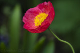 Phillipreevelarger-1172.jpg
