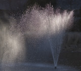 Phillipreevelarger-0732.jpg