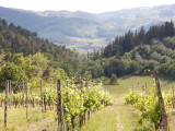Tuscany Region of Italy - May 2017
