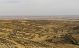 5 To Wadi Rum (2).jpg
