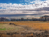 Prairie Textures