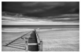 Dawlish Warren 17_d90_DSC_0029