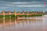 Dawlish Warren  17_d90_DSC_0038