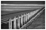 Dawlish Warren  17_d90_DSC_0075