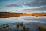 Tewet Tarn 18_d800_1193