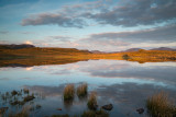 Tewet Tarn  18_d800_1193