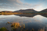 Tewet Tarn 18_d800_1245