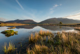 Tewet Tarn 18_d800_1337
