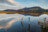 Tewet Tarn 18_d800_1356