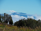 P3200738 Gasses emerging from volcano