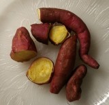 Most astounding discovery today! (screen grab from Google Photos)