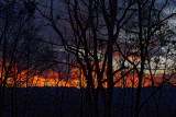 DSC01999 Gorgeous Sunset This Evening