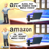 How Jeff Bezos Bought Whole Foods - Jokes about programmers, web development, and web browsers