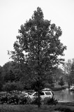2017-10-06 024 Nancy and Jay_BW.JPG