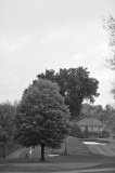 2017-10-06 083 Nancy and Jay_BW.JPG