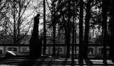 _DSC3570.jpg