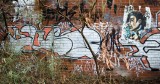 _DSC4921.jpg