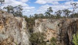 _DSC5205.jpg
