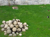 Cats Among the Cannon Balls<br />133638