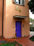 Purple Door<br />0497