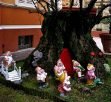 Under an Olive Tree<br />0724