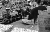 Christmas Day 2017