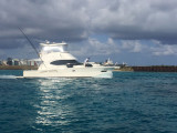 MaleJun16 003.jpg