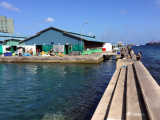 MaleJun16 025.jpg
