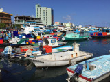 MaleJun16 027.jpg