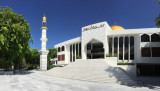 MaleJun16 036.jpg