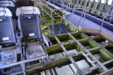 Passenger cabin of a Boeing 747 with the floor removed revealing the cargo hold