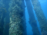 Dive 6 - Dili Jetty