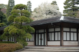 Toyko Mar16 055.jpg