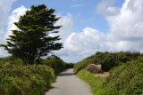 Guernseys quiet country lanes are idyllic for cycling
