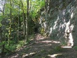 John L. Rich Trail