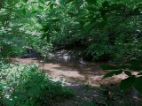 Pidcock Creek